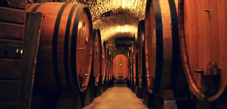 Discover Chianti Wine in Italy - Rolling Hills Francesco Conforti