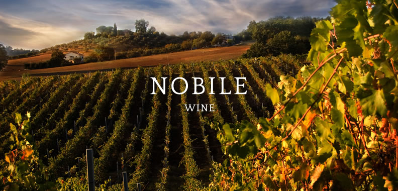 Discover Nobile Wine in Italy - Rolling Hills Francesco Conforti